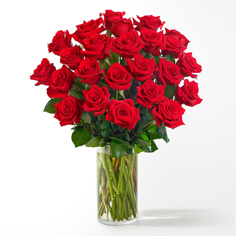 24 Roses